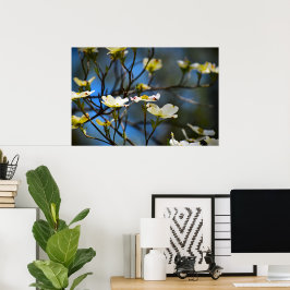Dogwood Blossom, Poster