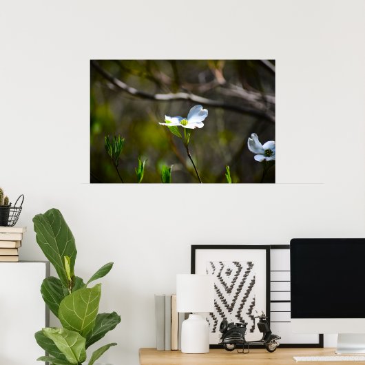 Dogwood Blossom, Poster (Heimbüro)