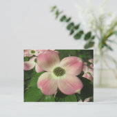 Dogwood Blossom Postkarte (Stehend Vorderseite)