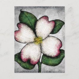 Dogwood Blossom Postkarte