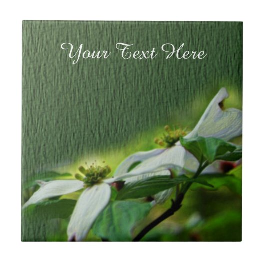 Dogwood Blossoms Blume Kunst Fliese (Vorderseite)