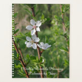Dogwood Blossoms Calendar by Janz Planer (Vorderseite)