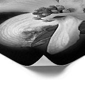 Dogwood blüht Abstrakt Schwarz-Weiß-Spiegel Poster (Ecke)