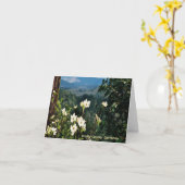 Dogwood blüht...... karte (Gelbe Blume)