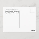 Dogwood blüht......... postkarte (Rückseite)