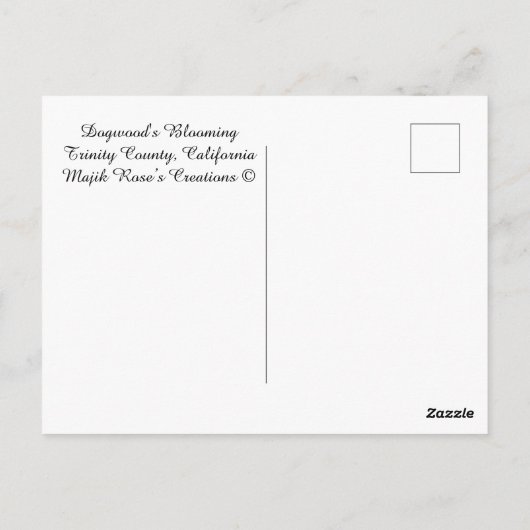 Dogwood blüht......... postkarte (Rückseite)