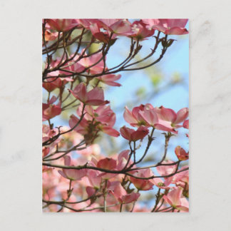 DOGWOOD BLUME 10 Karten Kunst gibt Tasse Aufkleber