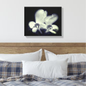 Dogwood-Blume blüht schwarz und weiß Leinwanddruck (Insitu (Schlafzimmer))