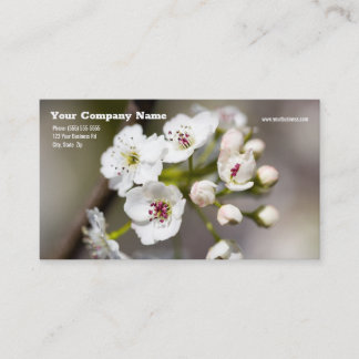 Dogwood Blume Business Card Visitenkarte