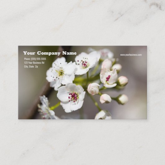 Dogwood Blume Business Card Visitenkarte (Vorderseite)