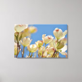 Dogwood-Blume Leinwanddruck (Vorderseite)