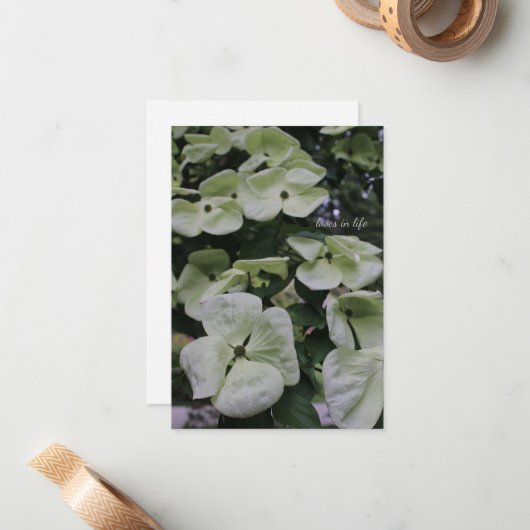 Dogwood-Blume Mitteilungskarte (Vorderseite/Rückseite Beispiel)