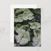 Dogwood-Blume Mitteilungskarte (Vorne/Hinten)