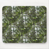Dogwood-Blume.... Mousepad (Vorne)