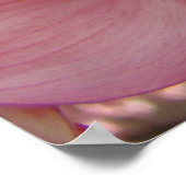 DOGWOOD Blume Naturkunst Prints Posters Poster (Ecke)