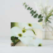 Dogwood-Blume Postkarte (Stehend Vorderseite)