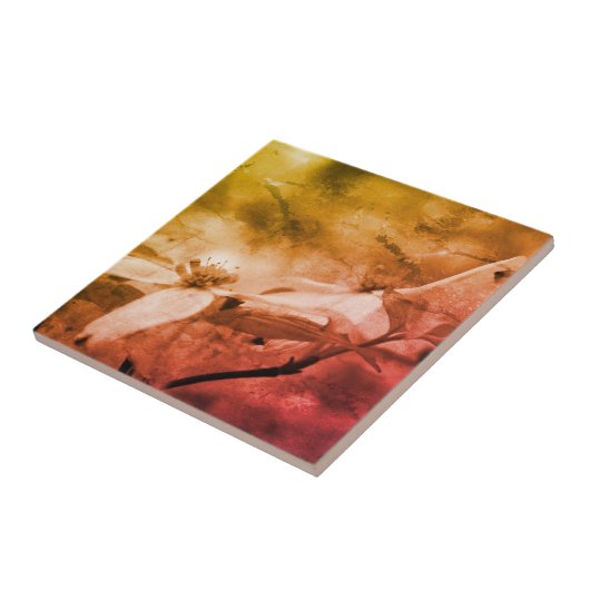 Dogwood-Blume Schwarz-Weiß Vintag Fliese (Seite)