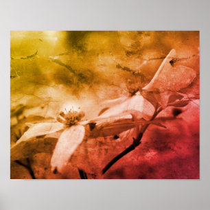 Dogwood-Blume Schwarz-Weiß Vintag Poster
