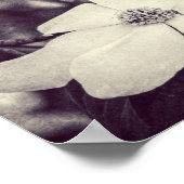Dogwood Blumen Poster (Ecke)