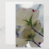 Dogwood-Blüten Briefpapier (Vorne/Hinten)