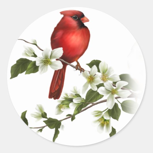 Dogwood-Blüten für männlichen Kardinal-Sticker Runder Aufkleber (Vorderseite)