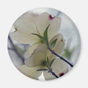 Dogwood-Blüten Magnet