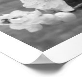Dogwood-Blüten Poster (Ecke)