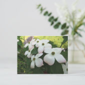 Dogwood-Blüten Postkarte (Stehend Vorderseite)