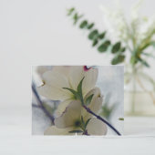 Dogwood-Blüten Postkarte (Stehend Vorderseite)
