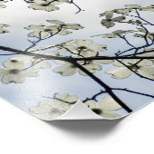 Dogwood-Blüten und Blue Sky Fotodruck (Ecke)