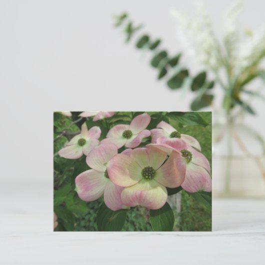 Dogwood Bundle Postkarte (Stehend Vorderseite)