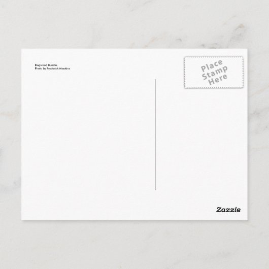 Dogwood Bundle Postkarte (Rückseite)