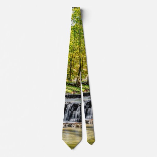 Dogwood Creek Autumn Neck Tie Krawatte (Vorderseite)