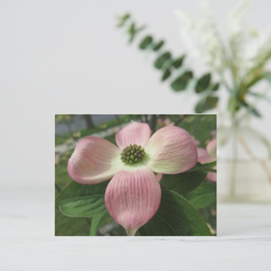 Dogwood Cross Postkarte (Stehend Vorderseite)