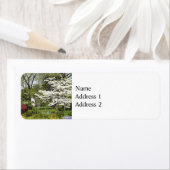 Dogwood in Bloom (Insitu)