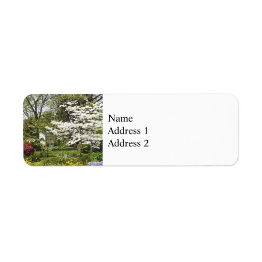 Dogwood in Bloom (Vorne)