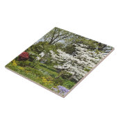 Dogwood in Bloom Fliese (Seite)