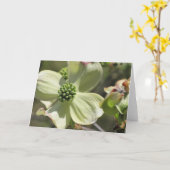 Dogwood Karte (Gelbe Blume)