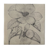 Dogwood-Keramik Fliese (Vorderseite)