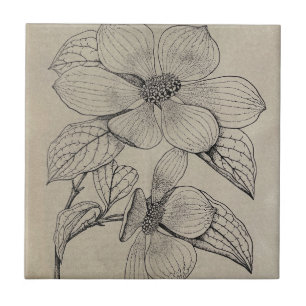 Dogwood-Keramik Fliese