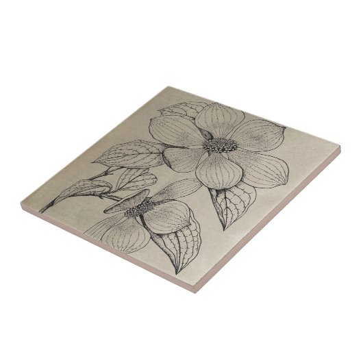 Dogwood-Keramik Fliese (Seite)