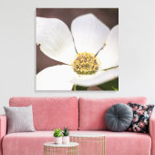 Dogwood Leinwanddruck (Insitu (Wohnzimmer))