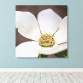 Dogwood Leinwanddruck (Insitu (Holzboden))