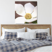 Dogwood Leinwanddruck (Insitu (Schlafzimmer))