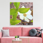Dogwood Leinwanddruck (Insitu (Wohnzimmer))