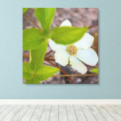 Dogwood Leinwanddruck (Insitu (Holzboden))