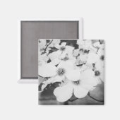 Dogwood Magnet (Vorderseite/Rückseite)
