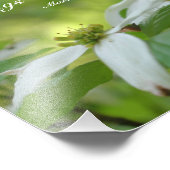 Dogwood mit Gottes Bibelzitat Inspiration 8x10 Fotodruck (Ecke)