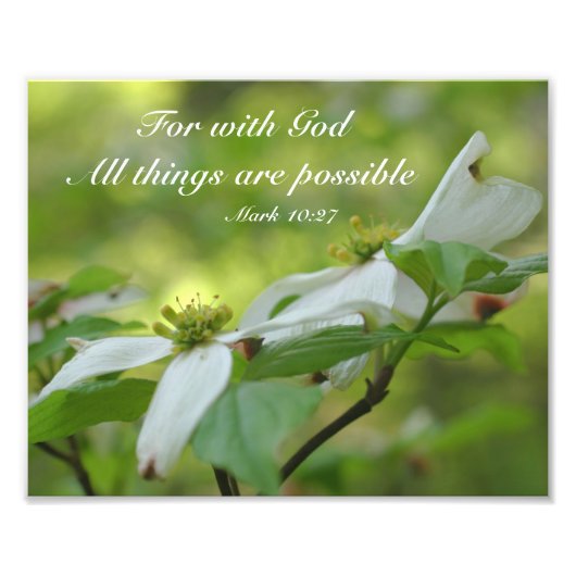 Dogwood mit Gottes Bibelzitat Inspiration 8x10 Fotodruck (Vorne)