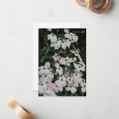 Dogwood Mitteilungskarte (Vorderseite/Rückseite Beispiel)